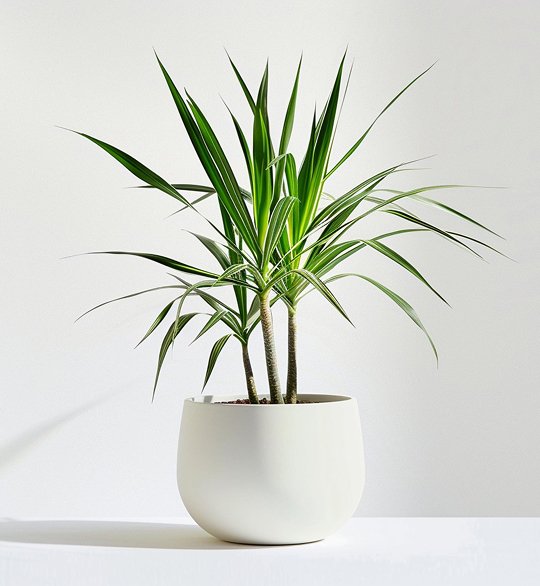 product-05 product 05